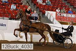 12buck_4030 proof