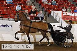 12buck_4032 proof