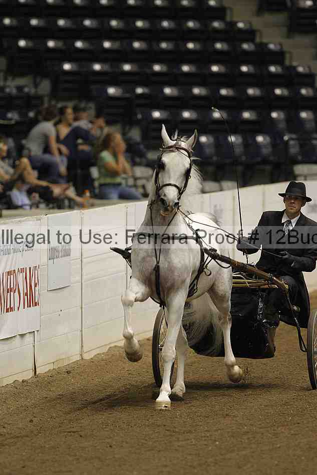 Proof 12buck_4034
