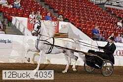 12buck_4035 proof