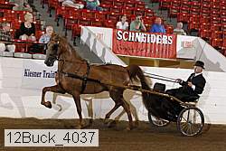 12buck_4037 proof