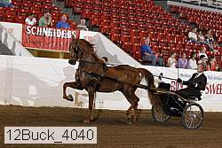 12buck_4040 proof
