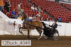 12buck_4046 proof