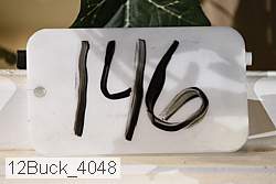 12buck_4048 proof