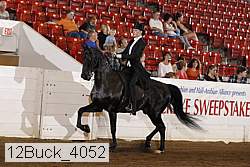 12buck_4052 proof