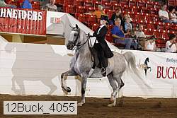 12buck_4055 proof