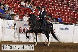12buck_4056 proof