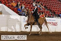 12buck_4057 proof