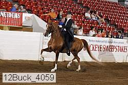 12buck_4059 proof