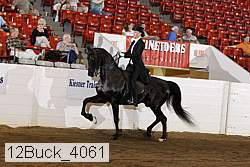 12buck_4061 proof