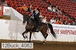 12buck_4062 proof