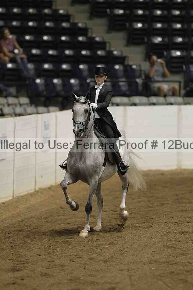Proof 12buck_4065