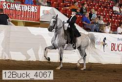 12buck_4067 proof