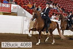12buck_4068 proof