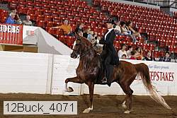 12buck_4071 proof
