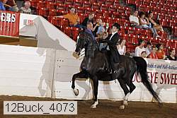 12buck_4073 proof