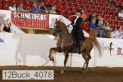 12buck_4078 proof