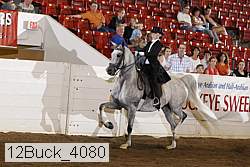 12buck_4080 proof