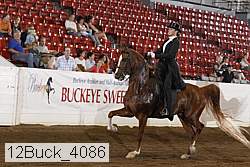 12buck_4086 proof