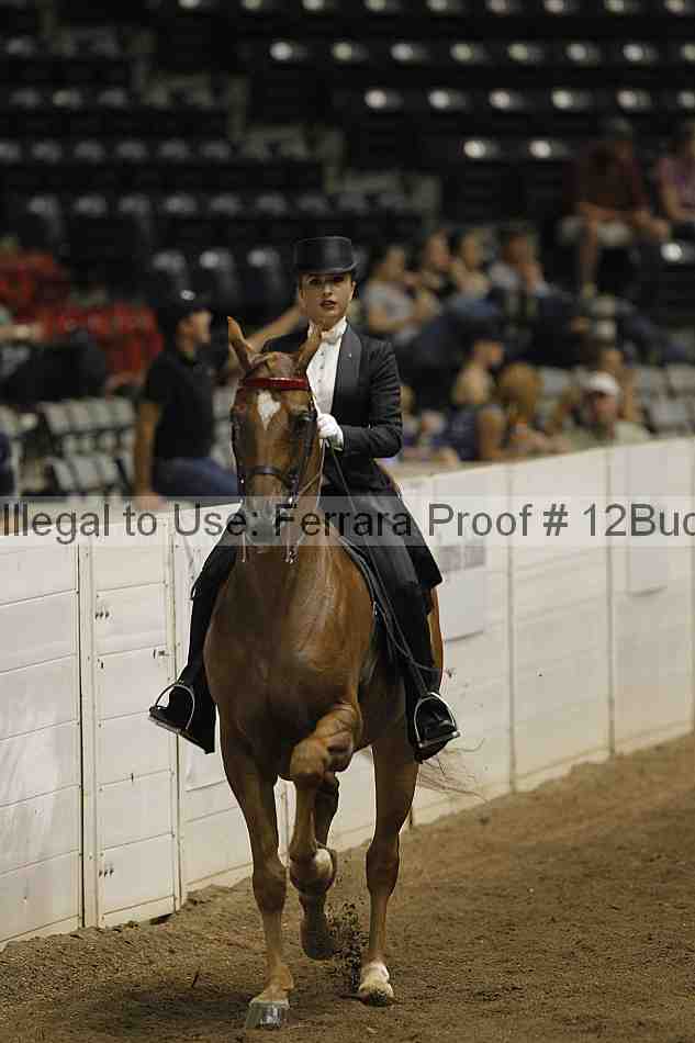 Proof 12buck_4094