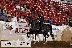 12buck_4095 proof