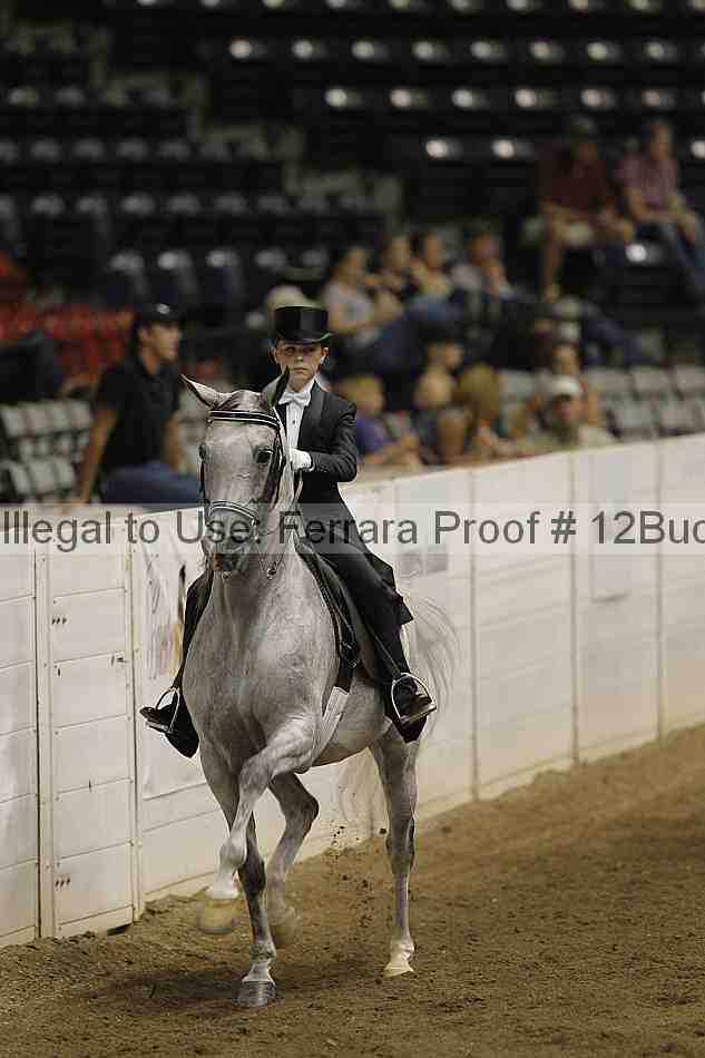 Proof 12buck_4096