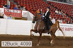 12buck_4099 proof