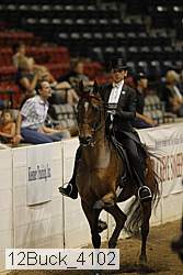 12buck_4102 proof