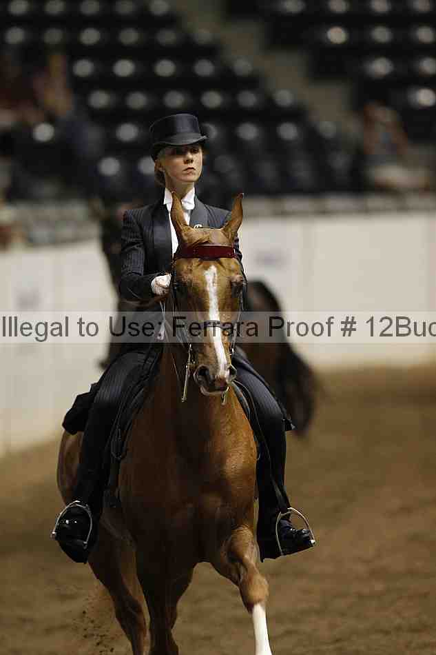 Proof 12buck_4105
