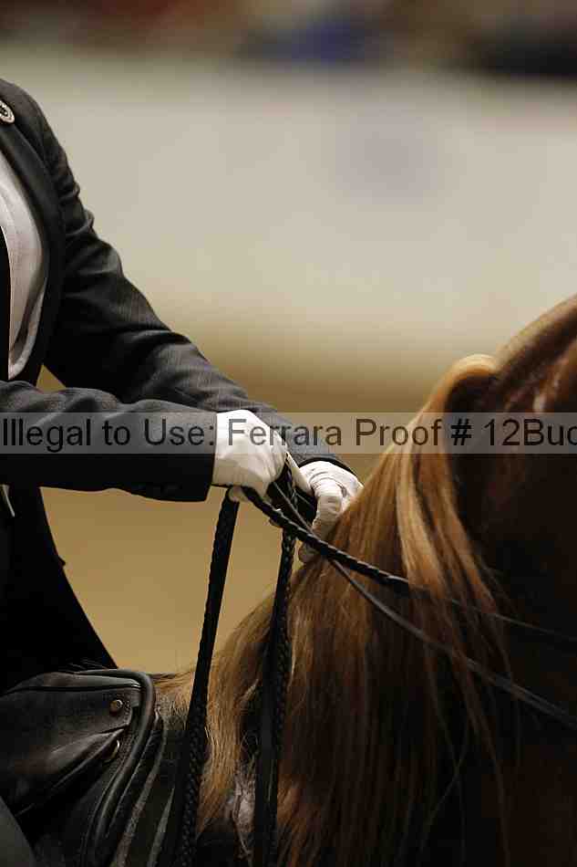 Proof 12buck_4119