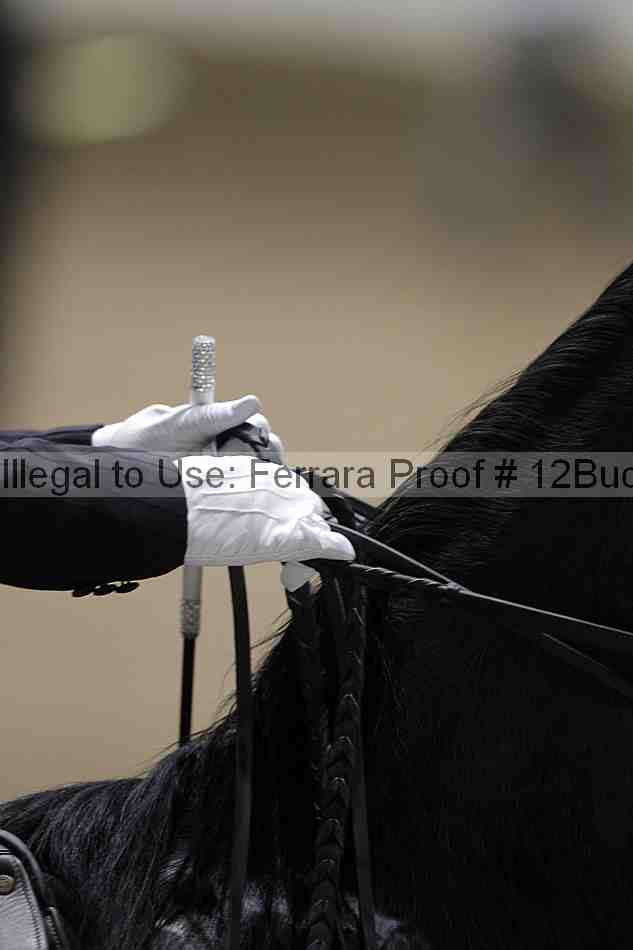 Proof 12buck_4120