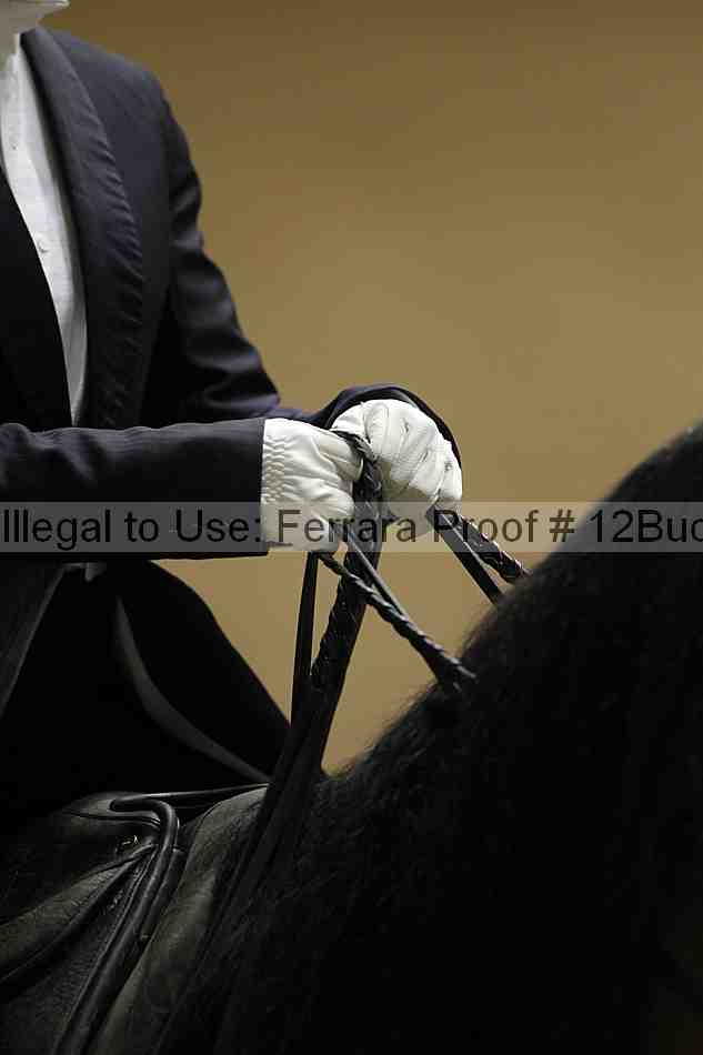 Proof 12buck_4121