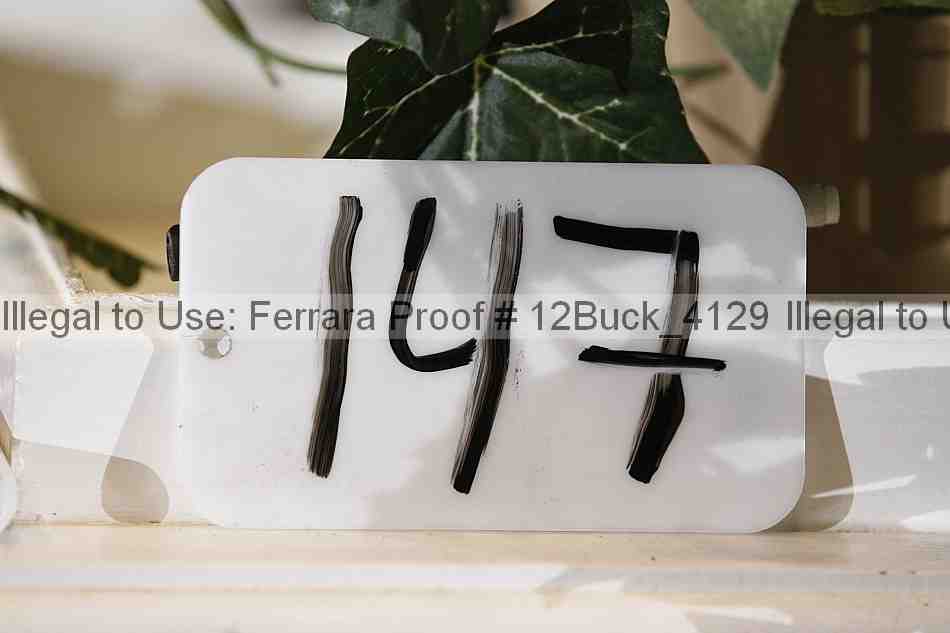 Proof 12buck_4129