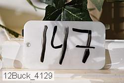 12buck_4129 proof