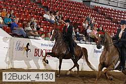 12buck_4130 proof