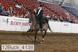 12buck_4138 proof