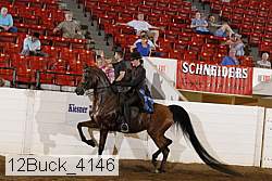12buck_4146 proof