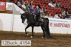 12buck_4154 proof