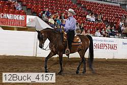 12buck_4157 proof