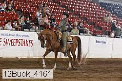 12buck_4161 proof