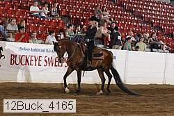 12buck_4165 proof