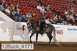 12buck_4171 proof