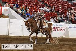 12buck_4173 proof