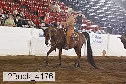12buck_4176 proof