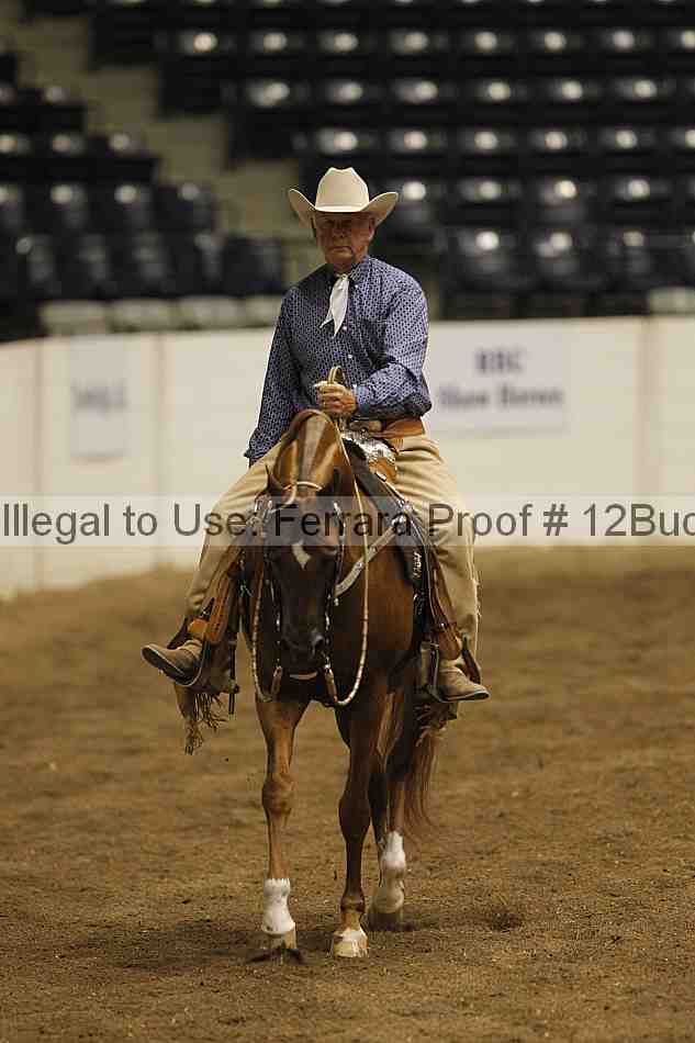 Proof 12buck_4182