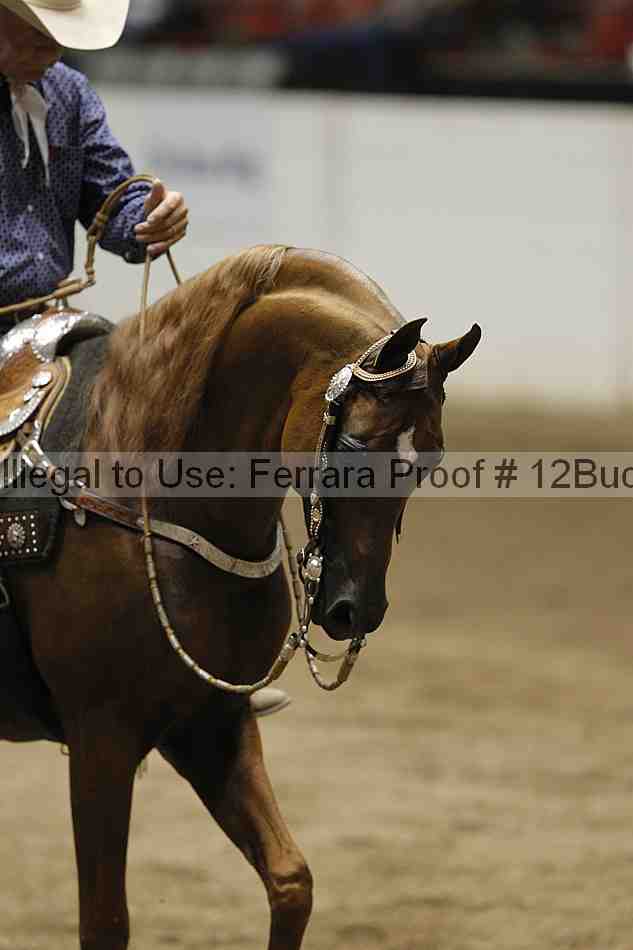 Proof 12buck_4190