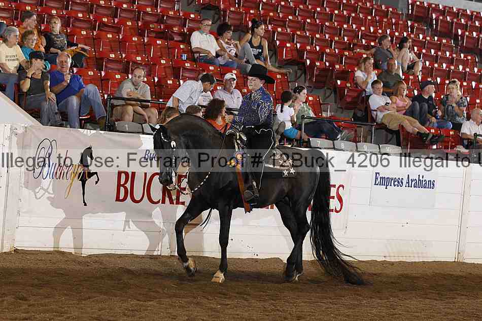 Proof 12buck_4206