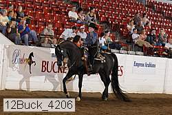12buck_4206 proof