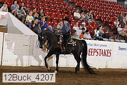 12buck_4207 proof