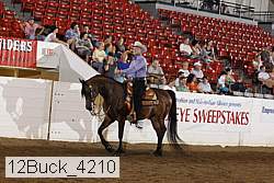 12buck_4210 proof